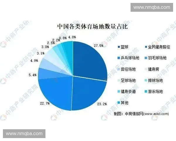 围绕中国顶级足球联赛的竞技格局与未来发展趋势深度解析全景透视